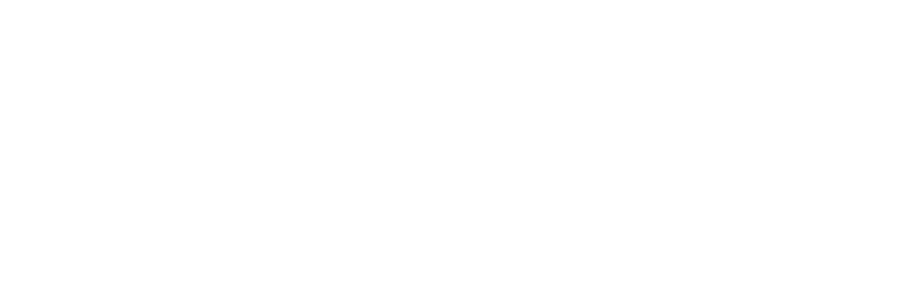 International Civic Network