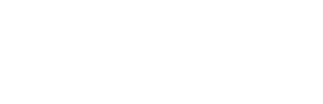 International Civic Network