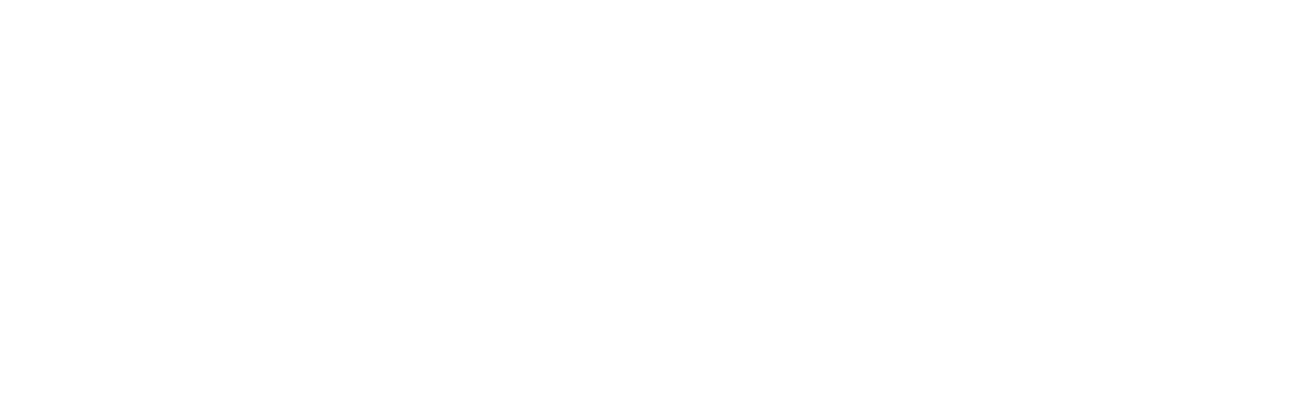 International Civic Network